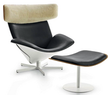 Load image into Gallery viewer, Almora