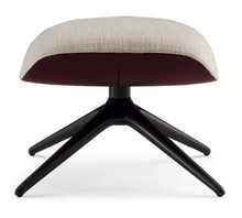 Load image into Gallery viewer, MAD JOKER