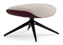 Load image into Gallery viewer, MAD JOKER