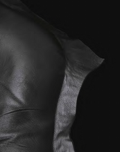 Load image into Gallery viewer, WALLACE