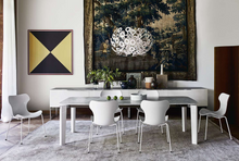 Load image into Gallery viewer, Papilio Shell