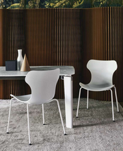 Load image into Gallery viewer, Papilio Shell