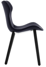 Load image into Gallery viewer, Papilio Shell