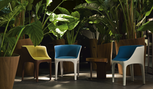 Load image into Gallery viewer, DIANA