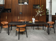 Load image into Gallery viewer, OLEANDRO