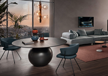 Load image into Gallery viewer, Circus