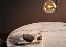 Load image into Gallery viewer, Circus