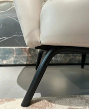 Load image into Gallery viewer, Winston