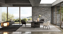 Load image into Gallery viewer, C-816 MINIMALISM DINING CHAIR
