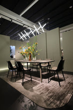 Load image into Gallery viewer, HB3-2308-1 DINING CHAIR
